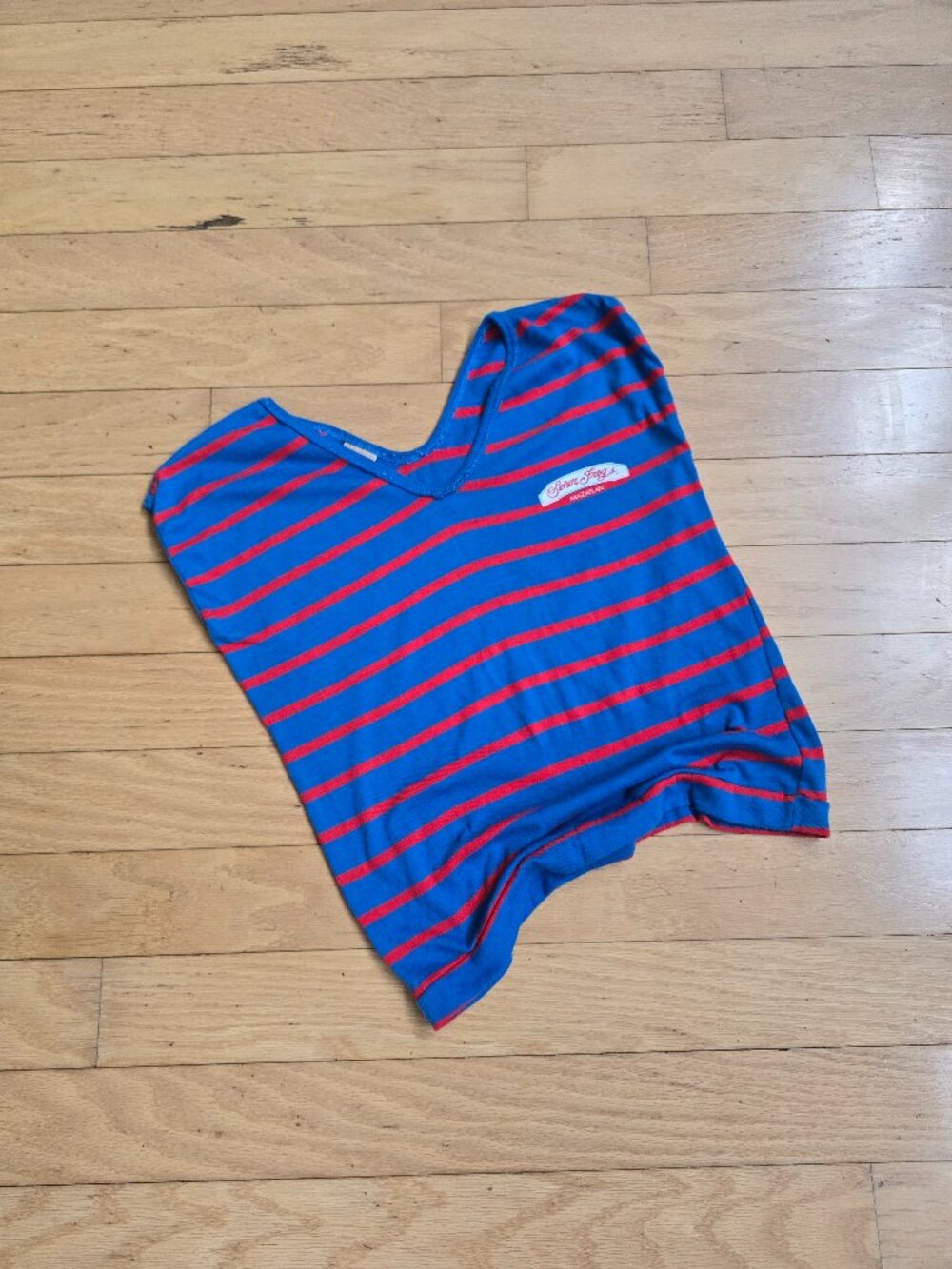 Vintage 80s | Senior Frog's Mazatlan Mexico Striped Blue Red Boxy T-Shirt WMS S